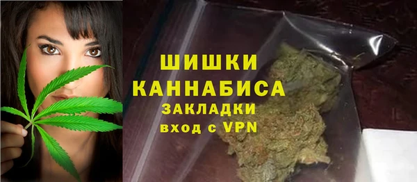 дмт Козельск