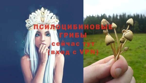 COCAINE Козловка