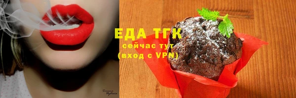 дмт Козельск