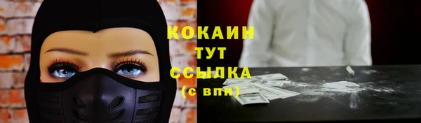 дмт Козельск