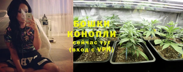 сатива Кодинск
