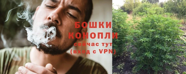 сатива Кодинск