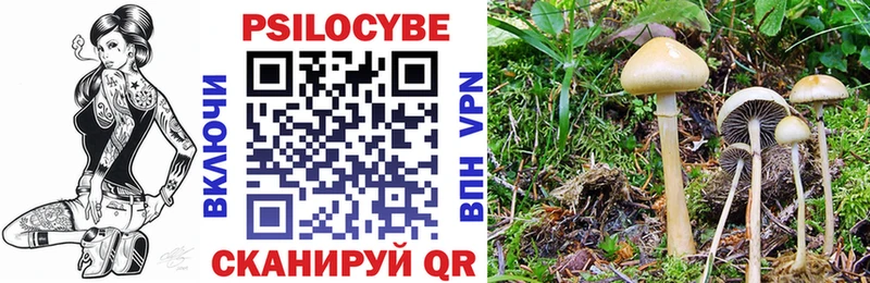 Псилоцибиновые грибы Psilocybe  как найти наркотики  МЕГА ССЫЛКА  Мариинск 