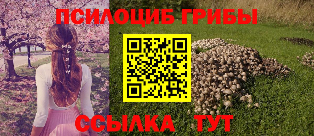 Псилоцибиновые грибы Psilocybine cubensis Мариинск