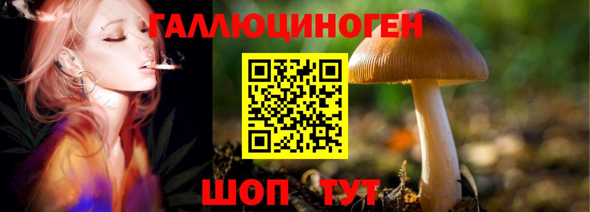 Мариинск  Галлюциногенные грибы Psilocybine cubensis  Псилоцибиновые грибы мицелий  Вход с VPN 